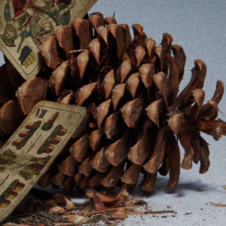 Amber Teutonic i gruppen Doft / Parfym hos COW parfymeri AB (2117384916)