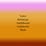 Dans Tes Bras, 100 ml