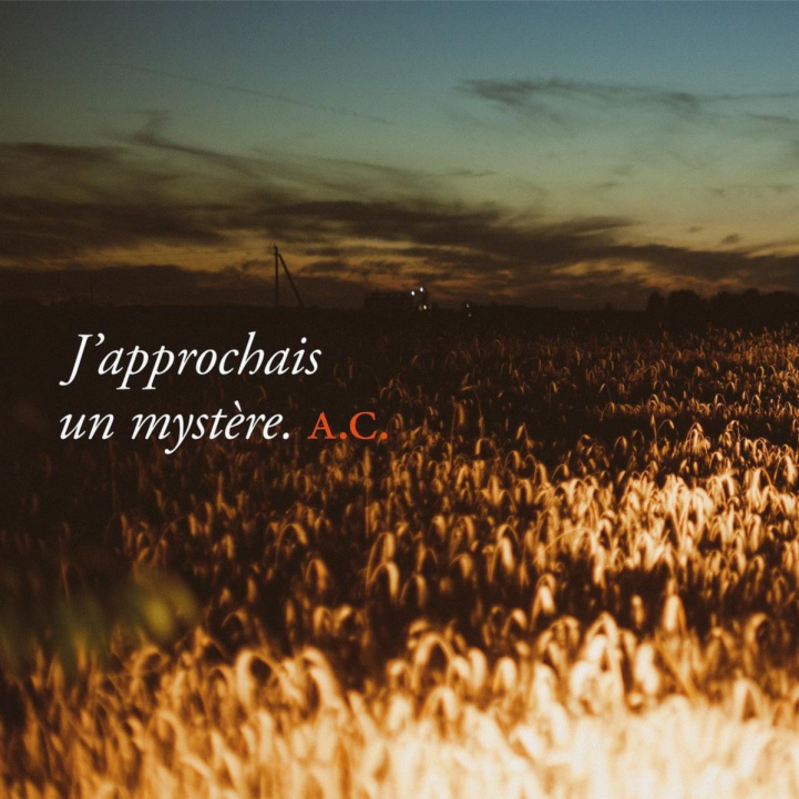 A.C. in the group Fragrance / Perfume at COW parfymeri AB (AC)