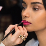 Lip Brush Lip Brush