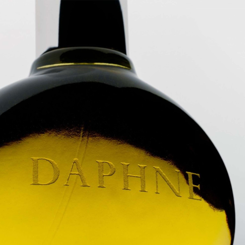 Comme des sales garcons daphne