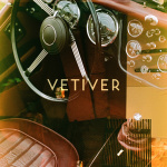 Vetiver