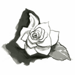 Gardenia La Nuit Candle