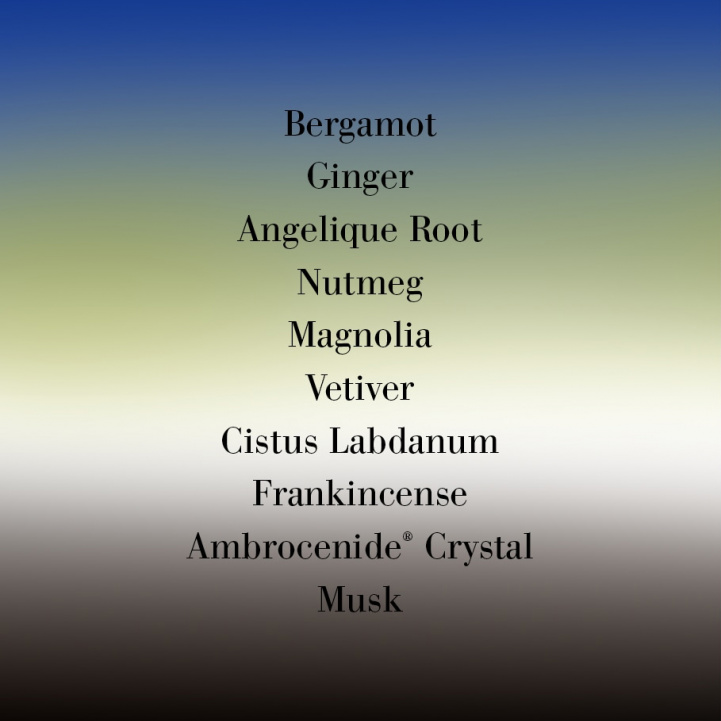 Uncut Gem in the group Fragrance / Perfume at COW parfymeri AB (HY500)