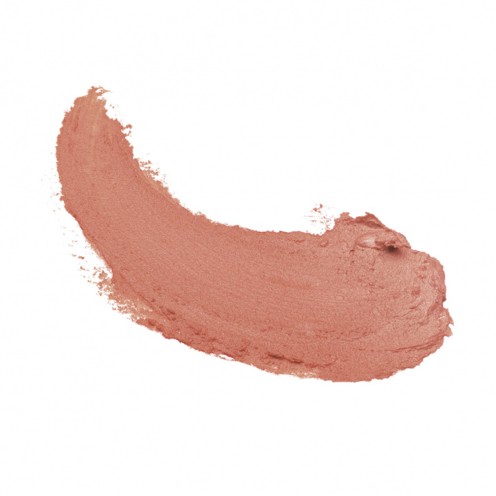 Nude Brun Matte Lipstick Refill i gruppen Make Up / Läppar hos COW parfymeri AB (LBR46R)