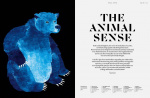 NEZ Magazine #7- The Animal Sense