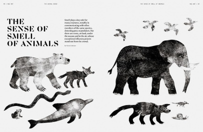 NEZ  Magazine #7 The Animal Sense