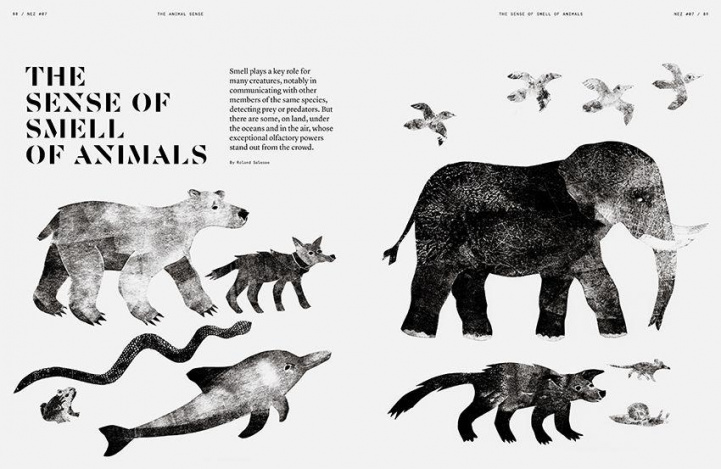 NEZ Magazine #7 The Animal Sense i gruppen Doft / Böcker/Tidskrift hos COW parfymeri AB (N--7)