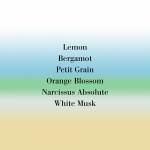 Cologne Indelebile Body Milk