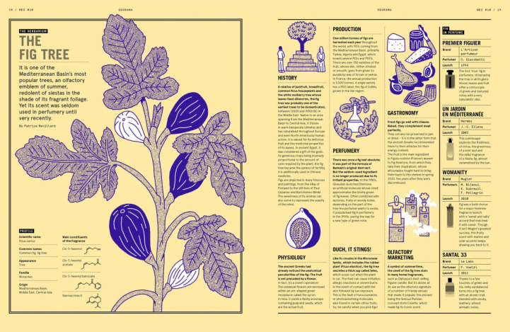 NEZ Magazine #10 From the Nose to the Mouth in the group Fragrance / Books/Magazines at COW parfymeri AB (NEZ10)