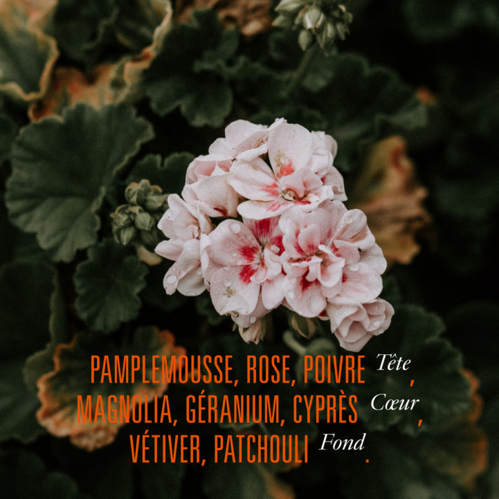 P.S. i gruppen Doft / Parfym hos COW parfymeri AB (P-S)