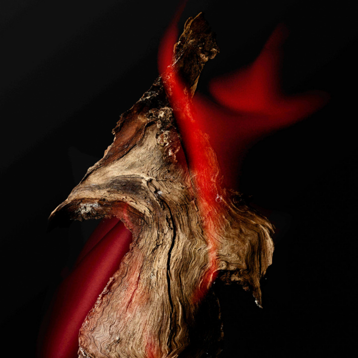 Vermilion Wood in the group Fragrance / Perfume / Alinea Collection at COW parfymeri AB (Vermilion)